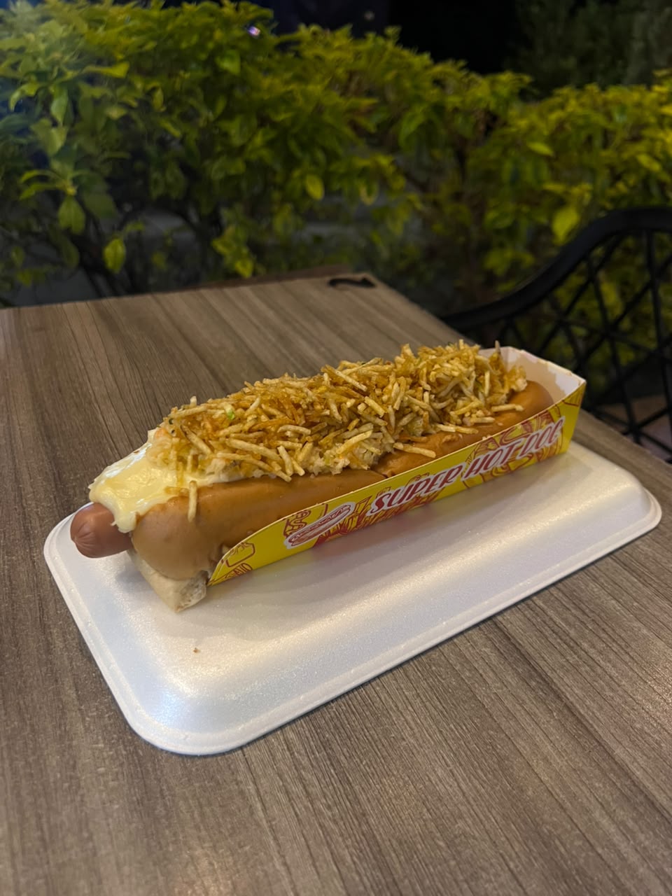 Perro Fundido